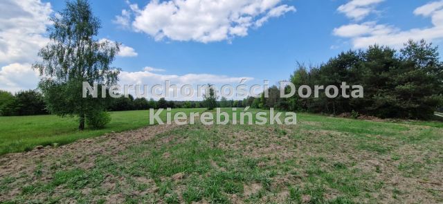 Działka rekreacyjna Królowa Wola. Zdjęcie 3