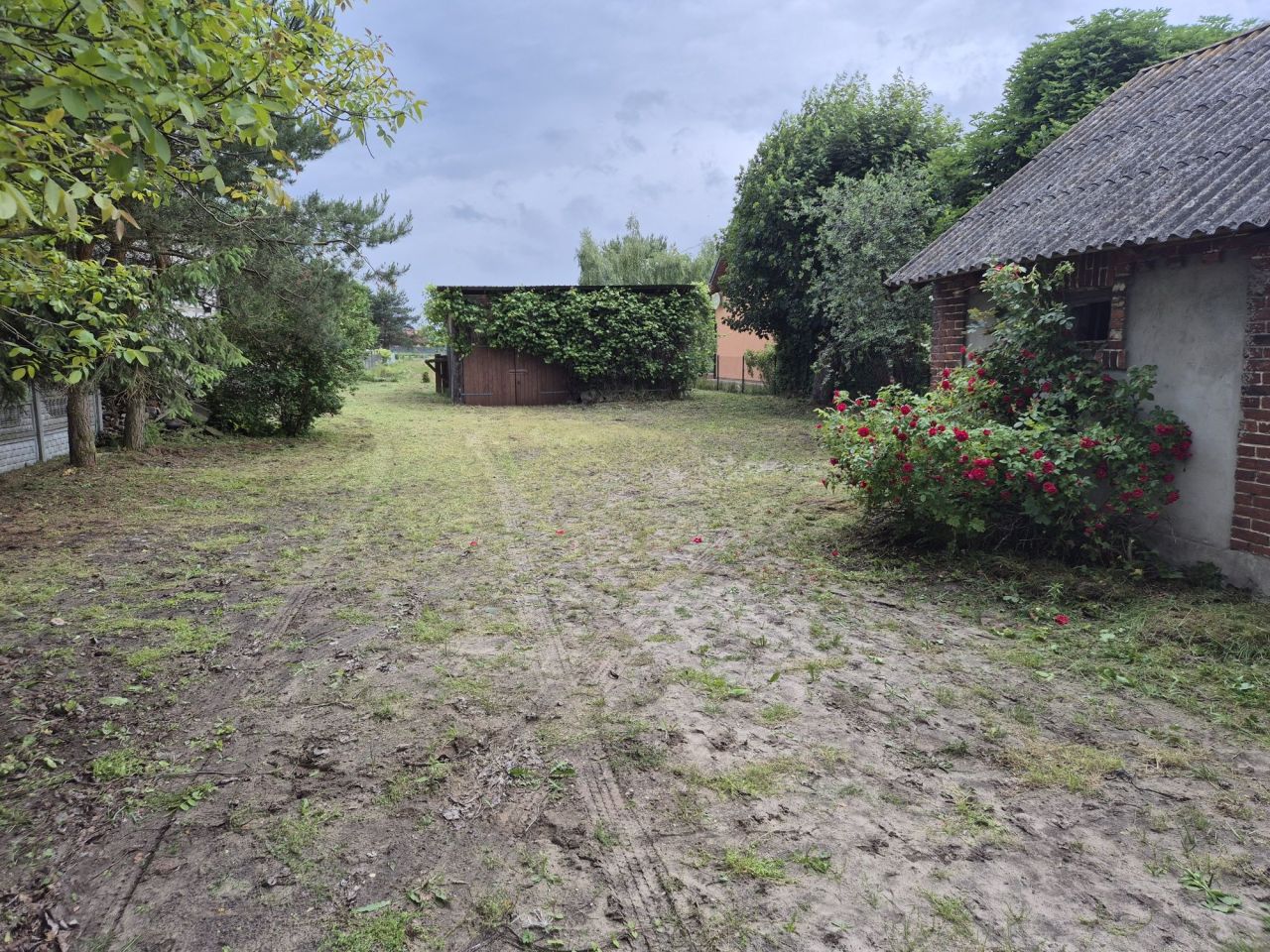 Działka Kluki. Zdjęcie 6