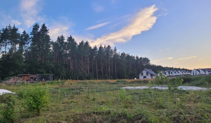 Działka budowlana Stare Kupiski, ul. Świerkowa
