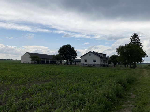 siedlisko, 5 pokoi Rostkowo. Zdjęcie 1