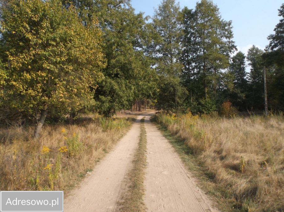 Działka budowlana Pąchy. Zdjęcie 6