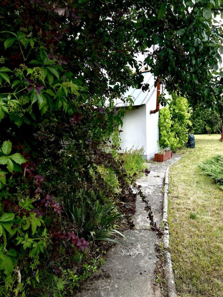 Działka rod Strzelce Krajeńskie. Zdjęcie 6