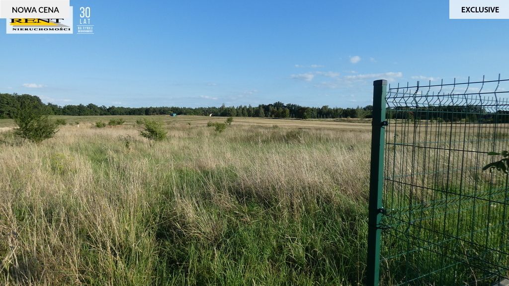 Działka rolna Kamieniec. Zdjęcie 3
