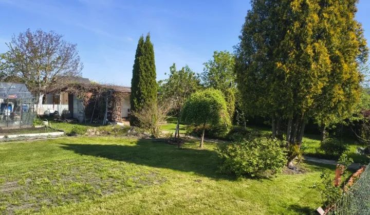 Działka rod Kazimierz