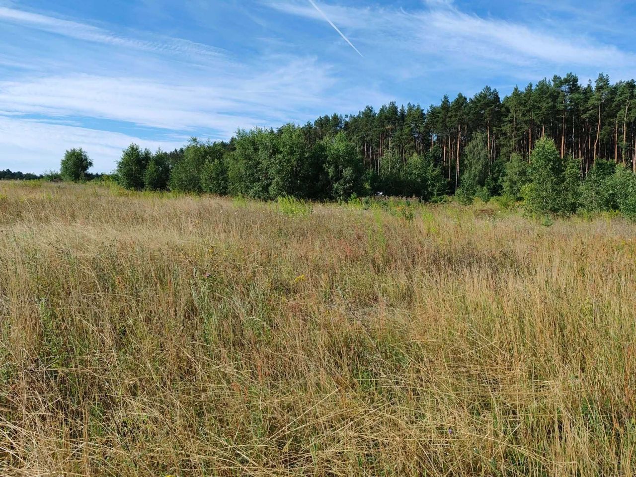 Działka budowlana Mostki. Zdjęcie 3