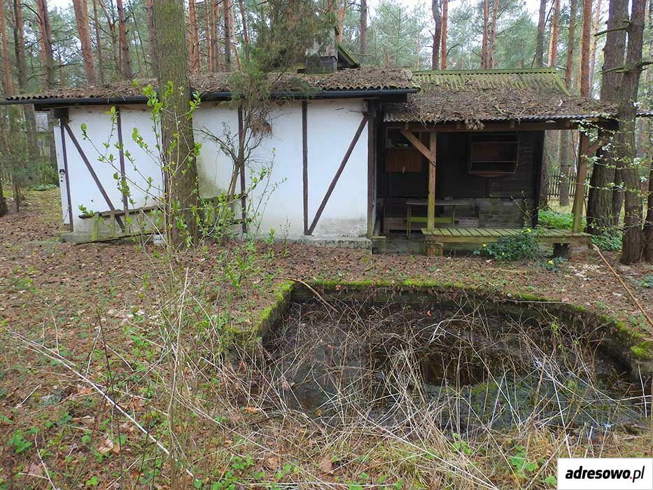 Działka leśna Arciechów. Zdjęcie 4