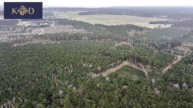 Działka inwestycyjna Dąbrowa Nowa. Zdjęcie 22