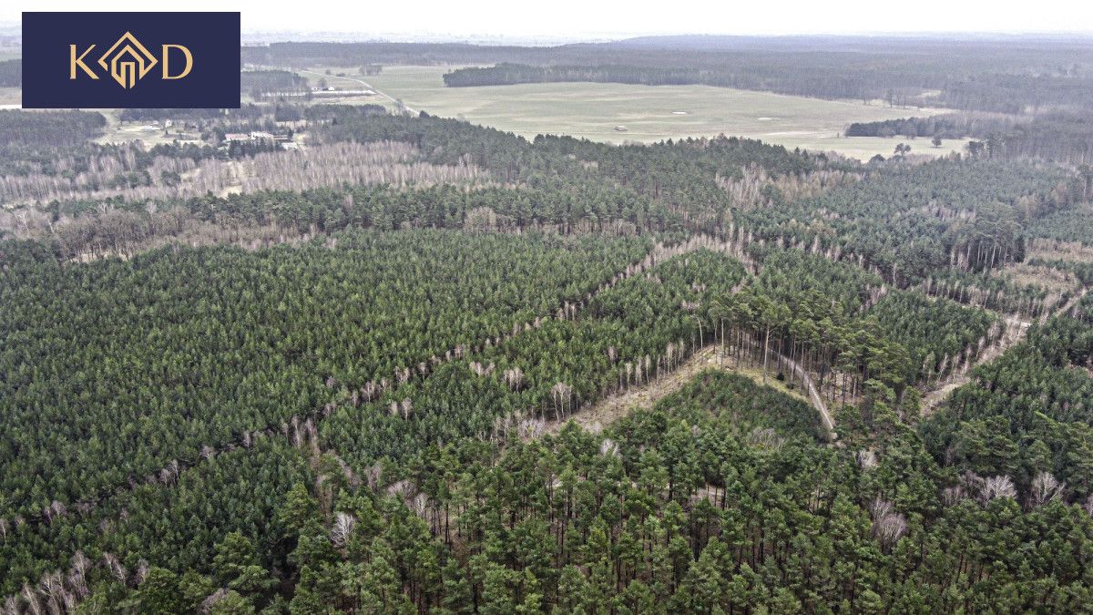 Działka inwestycyjna Dąbrowa Nowa. Zdjęcie 22