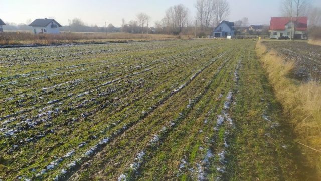 Działka budowlana Zborów. Zdjęcie 1