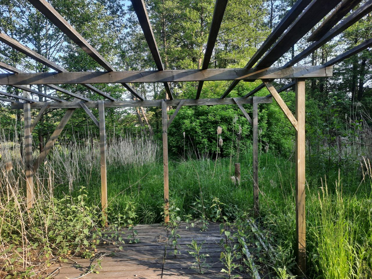 Działka rekreacyjna Minikowo. Zdjęcie 8