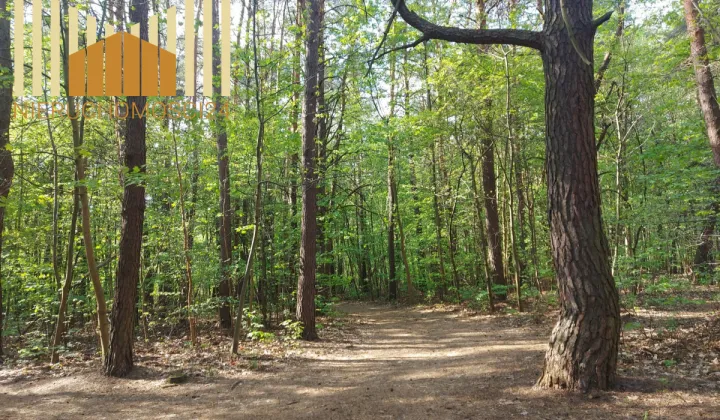 Działka budowlana Warszawa Radość