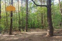 Działka budowlana Warszawa Radość