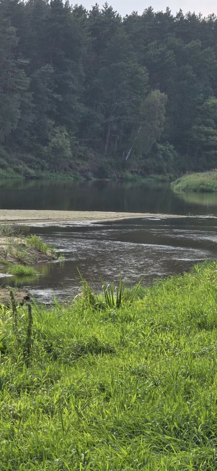 Działka rekreacyjna Mielnik. Zdjęcie 2