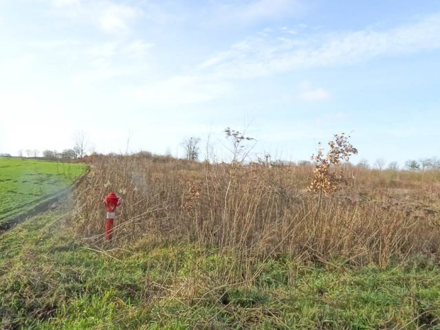 Działka budowlana Stara Dąbrowa. Zdjęcie 28