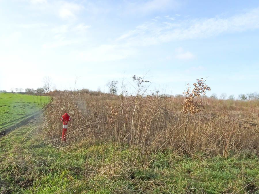Działka budowlana Stara Dąbrowa. Zdjęcie 28