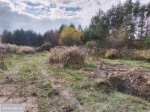 Działka budowlana Czyżówka, ul. Lipowa