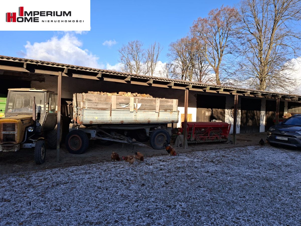 Działka rolna Janiewice. Zdjęcie 6