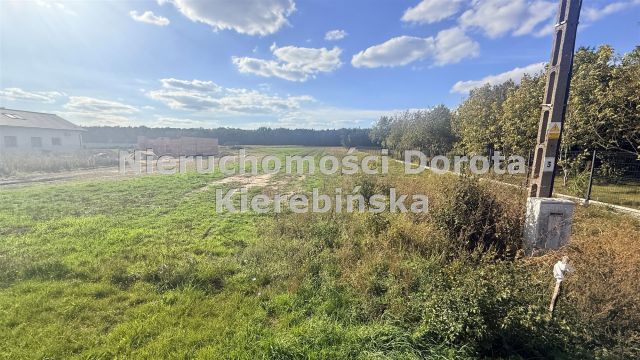 Działka inwestycyjna Małecz. Zdjęcie 8