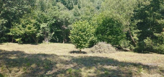 Działka budowlana Czaszyn Brzozowiec, ul. Brzozowa