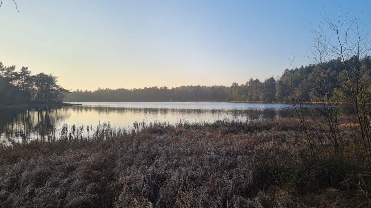 Działka inwestycyjna Lidzbark. Zdjęcie 7