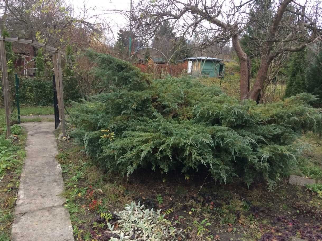 Działka rod Warszawa Rakowiec, ul. Sąchocka. Zdjęcie 6