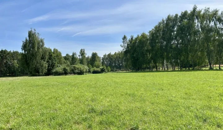 Działka budowlana Leśna Grobla