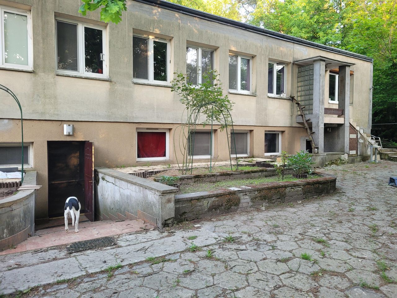 dom wolnostojący Milanówek Naddawki Falenckie, ul. Podgórna. Zdjęcie 1