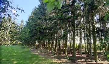 Działka budowlana Orątki Górne
