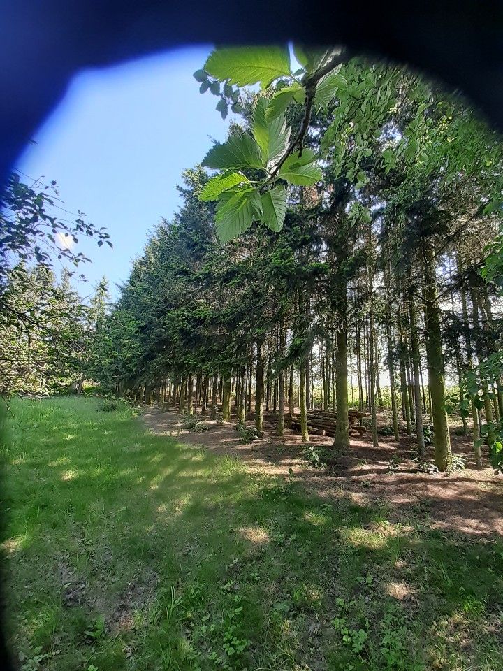 Działka budowlana Orątki Górne