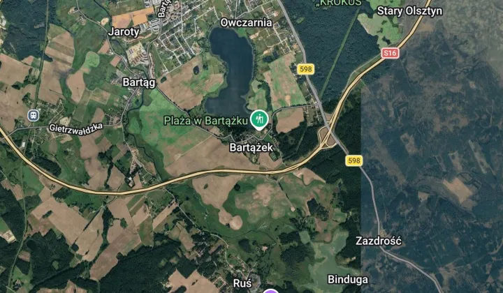 bliźniak Bartążek