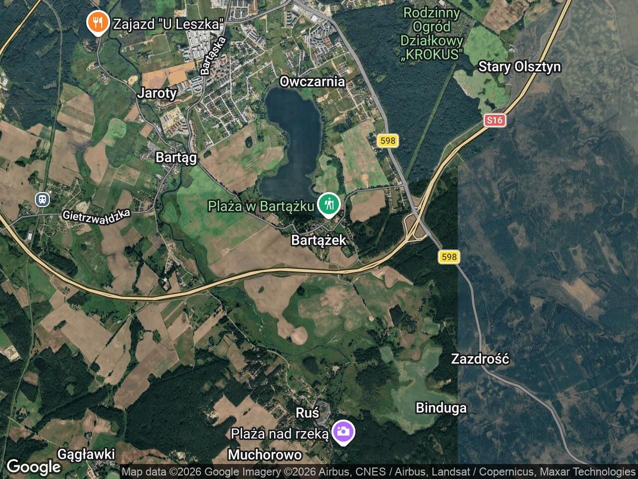 bliźniak Bartążek. Zdjęcie 1