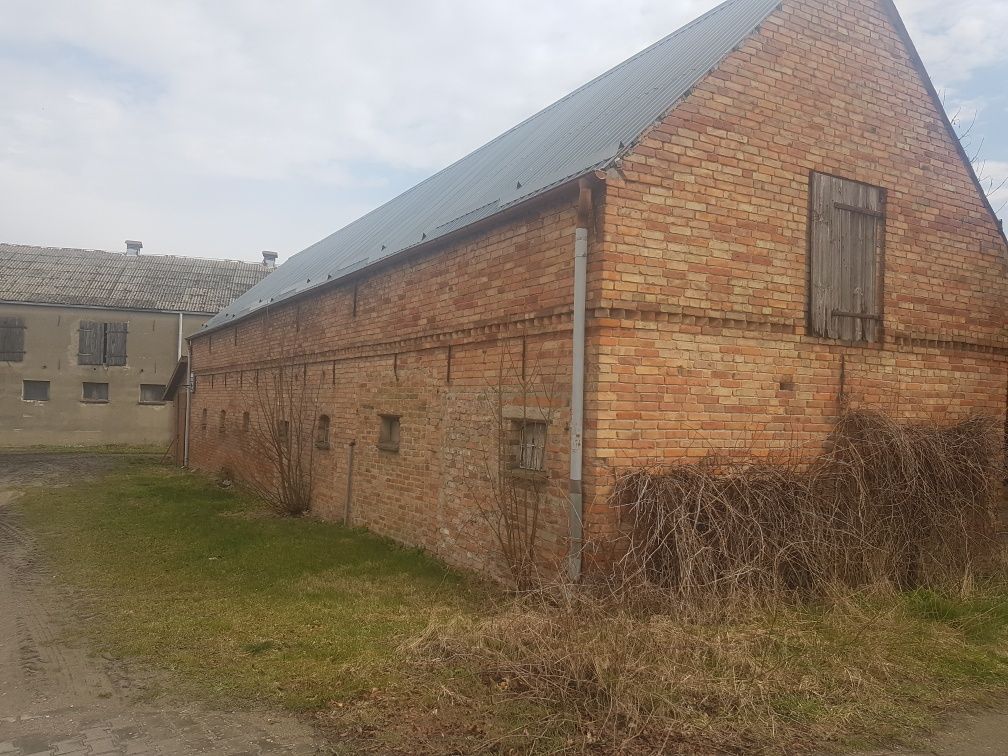 siedlisko Dębczyno. Zdjęcie 6