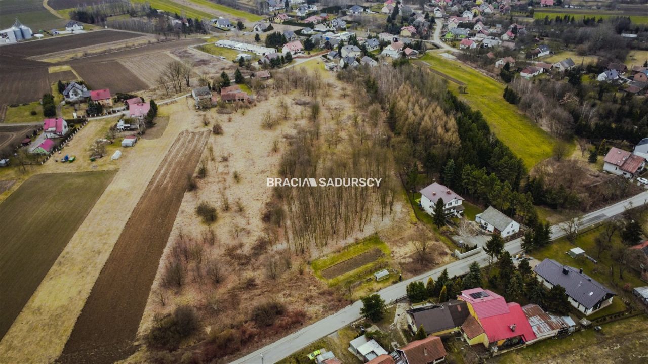 Działka rolna Wołowice. Zdjęcie 6