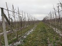 Działka rolna Grzymkowice. Zdjęcie 2