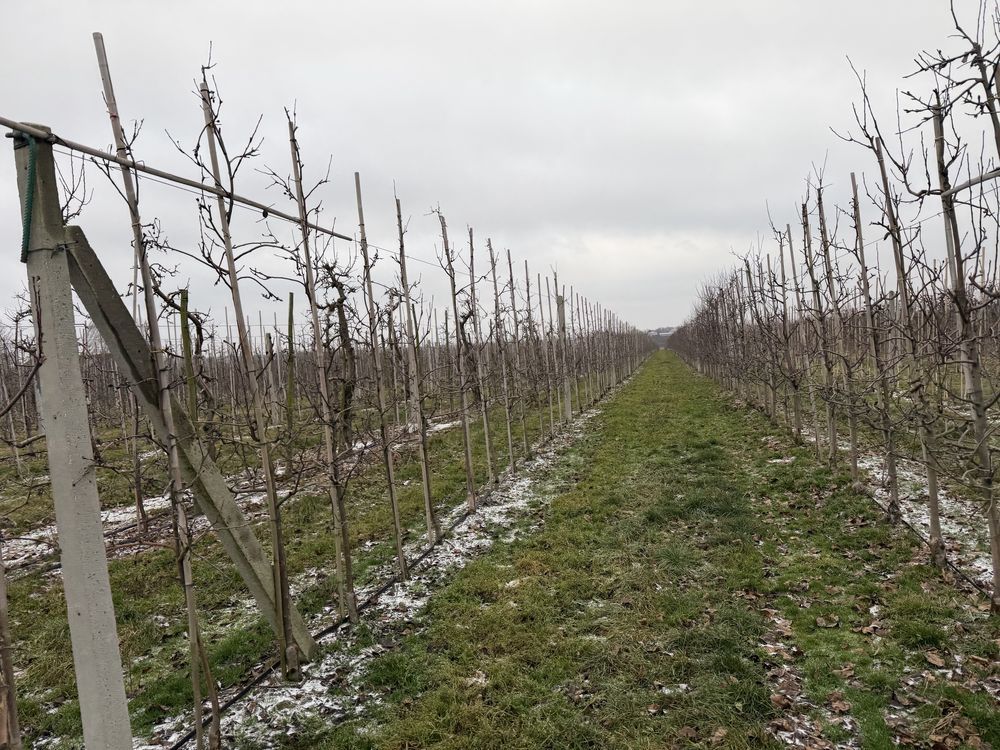 Działka rolna Grzymkowice. Zdjęcie 3