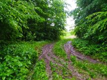 Działka rolna Bliżów Wojda. Zdjęcie 3