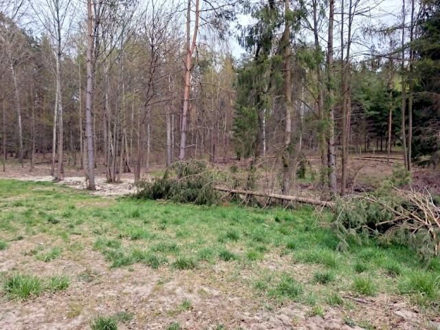 Działka budowlana Rydzewo, ul. Mazurska. Zdjęcie 8