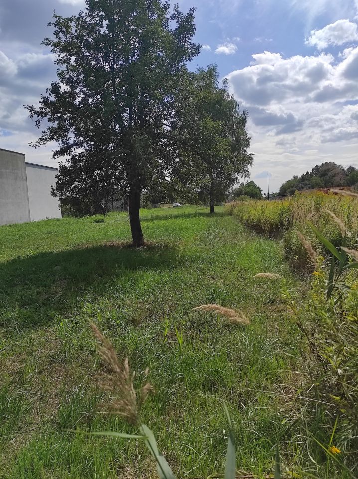 Działka budowlana Biłgoraj, ul. Polna/Makowa. Zdjęcie 5