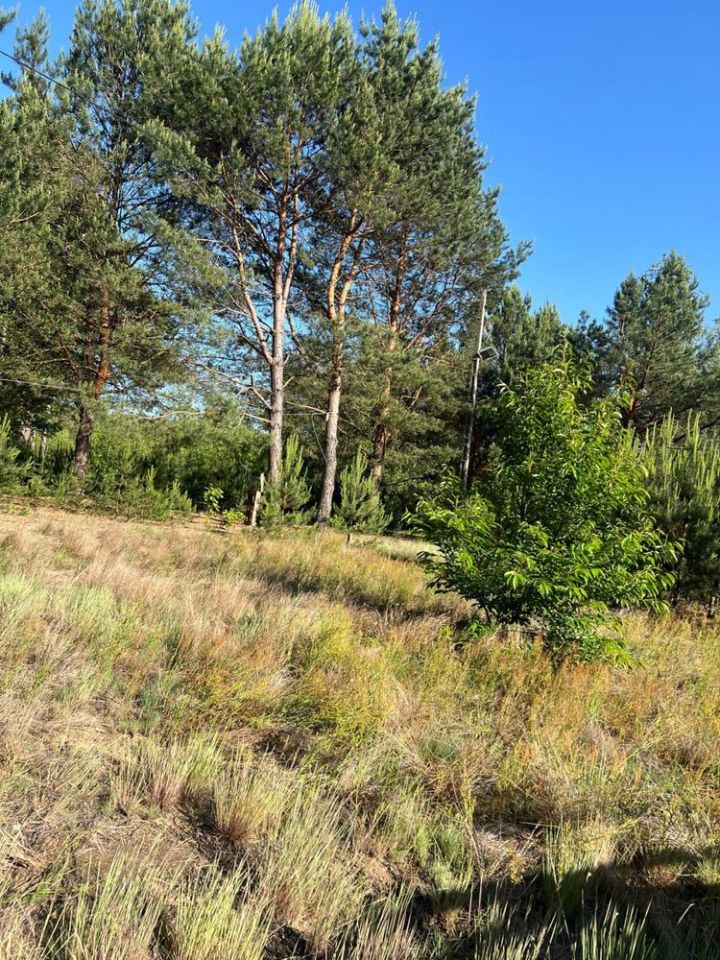 Działka rod Nowe Bosewo. Zdjęcie 8