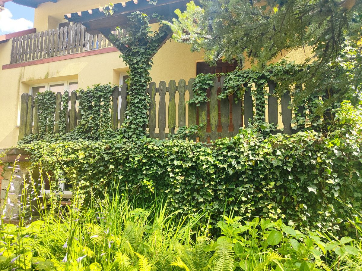 dom wolnostojący, 7 pokoi Góra Siewierska. Zdjęcie 9