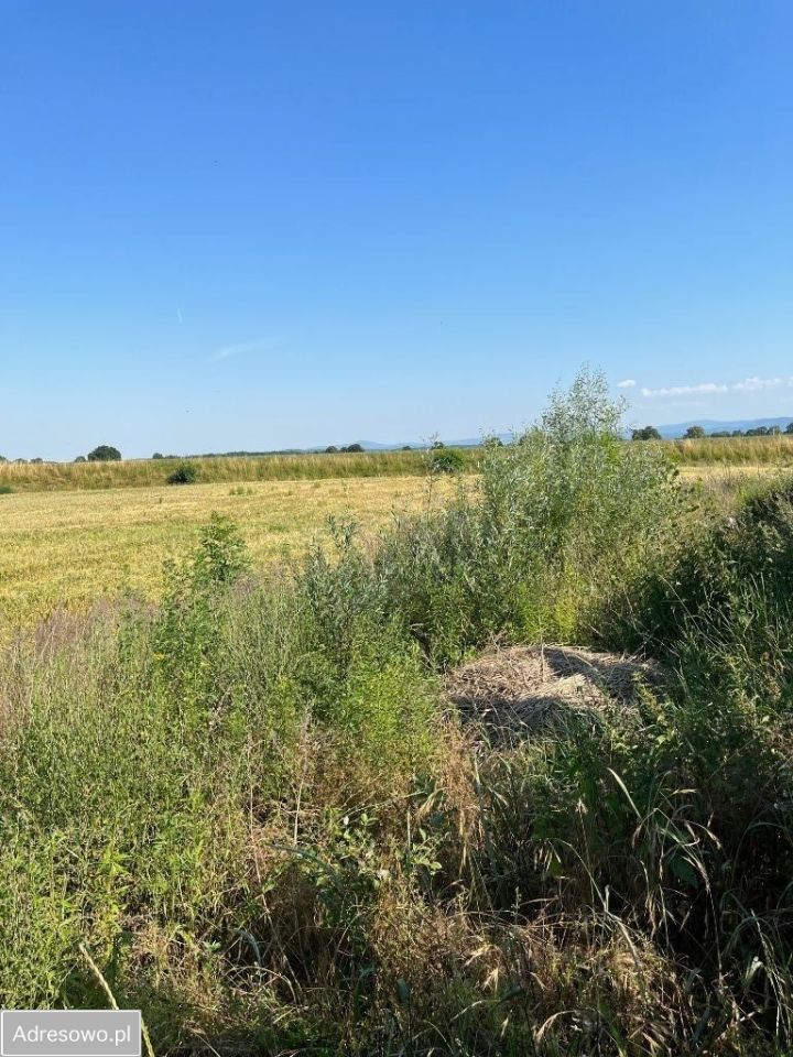 Działka budowlana Otmuchów, ul. Mostowa. Zdjęcie 5