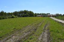 Działka rekreacyjna Świętajno. Zdjęcie 2