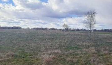 Działka budowlana Domanice-Kolonia