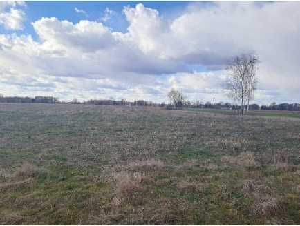 Działka budowlana Domanice-Kolonia