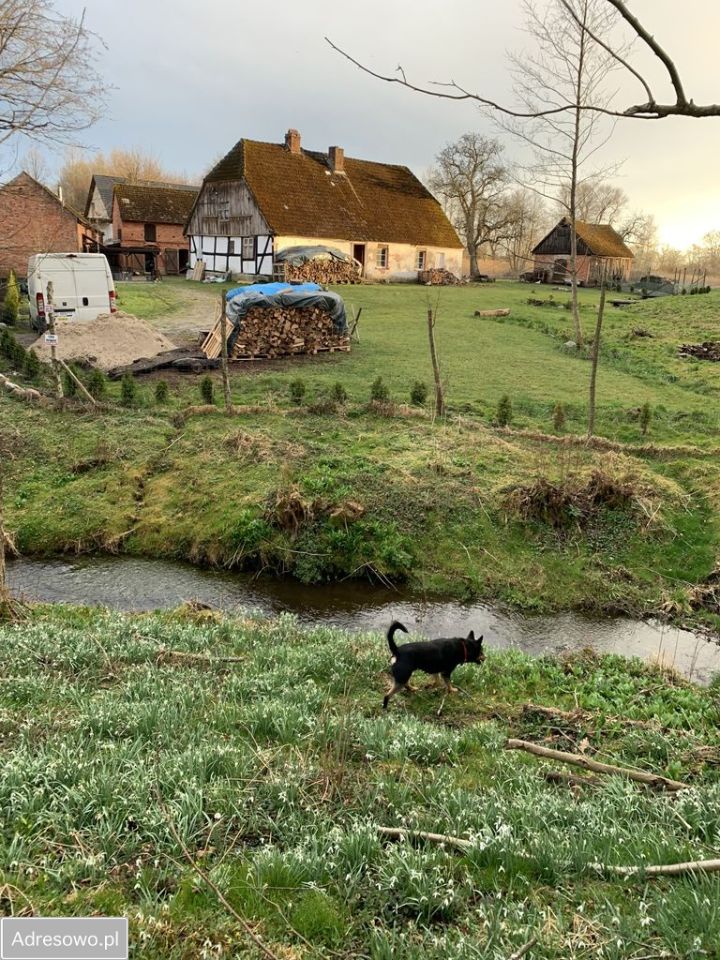 Działka siedliskowa Stary Kraków. Zdjęcie 9