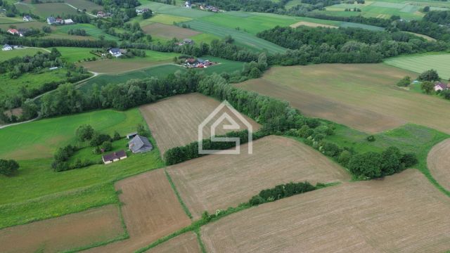 Działka budowlana Trzciana, trzciana. Zdjęcie 6