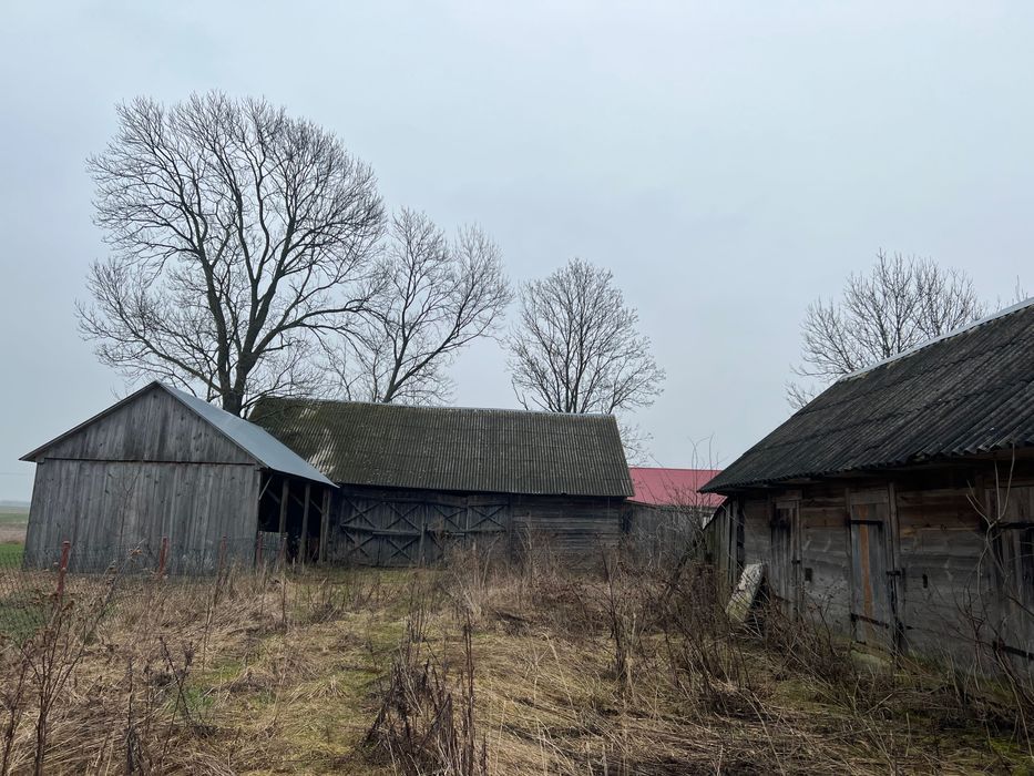 gospodarstwo Grabówka. Zdjęcie 7