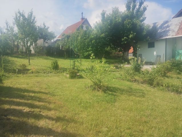 Działka rekreacyjna Chojnów. Zdjęcie 1