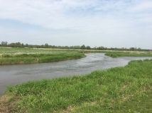 Działka rekreacyjna Czarnów. Zdjęcie 4