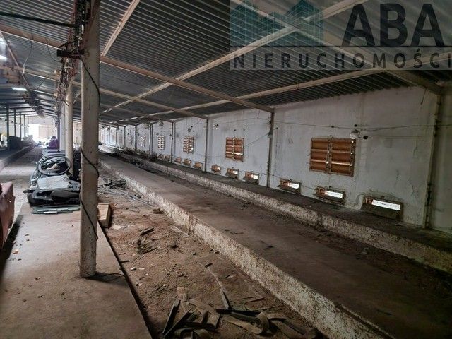 Hala/magazyn Brzeźno, ul. Sienna. Zdjęcie 7